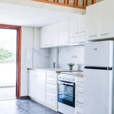 το μεγάλο αμπέλι